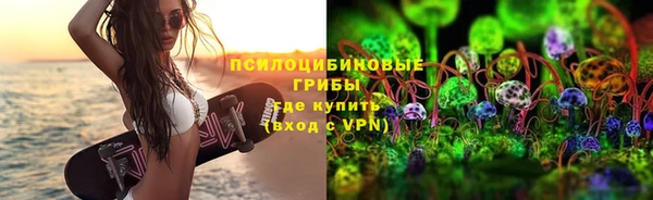 стафф Каменка