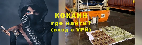 стафф Каменка