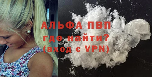 стафф Каменка