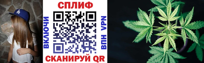 Купить где  Микунь  Каннабис VHQ 
